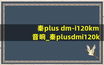 秦plus dm-i120km音响_秦plusdmi120km音响怎么设置